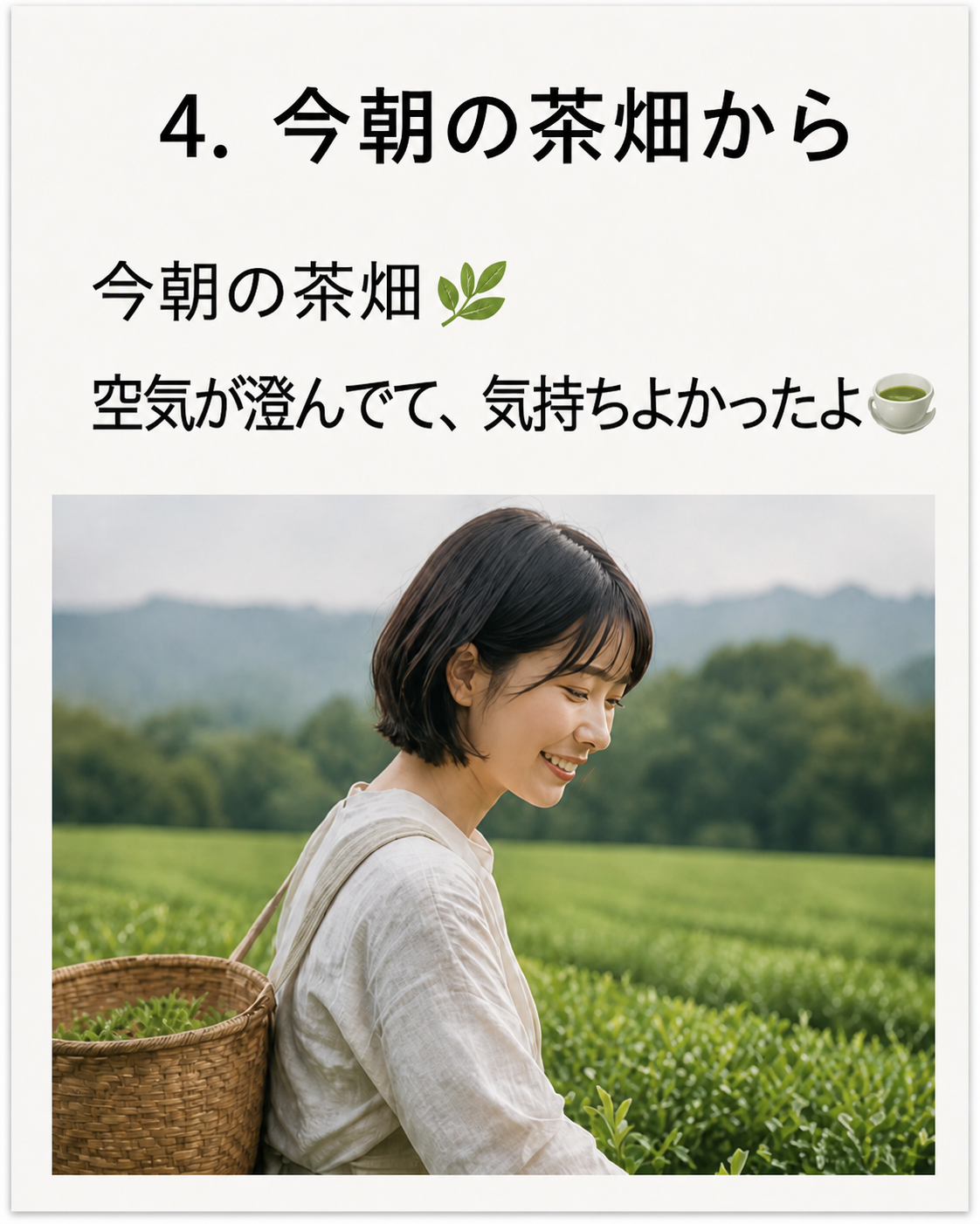 4. 今朝の茶畑から。空気が澄んでて、気持ちよかったよ。